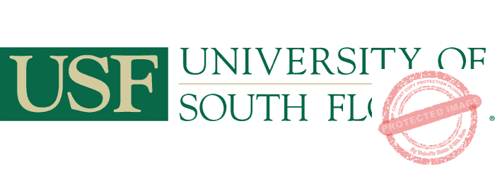 university of south florida crna program, usf dnp, usf dnp program